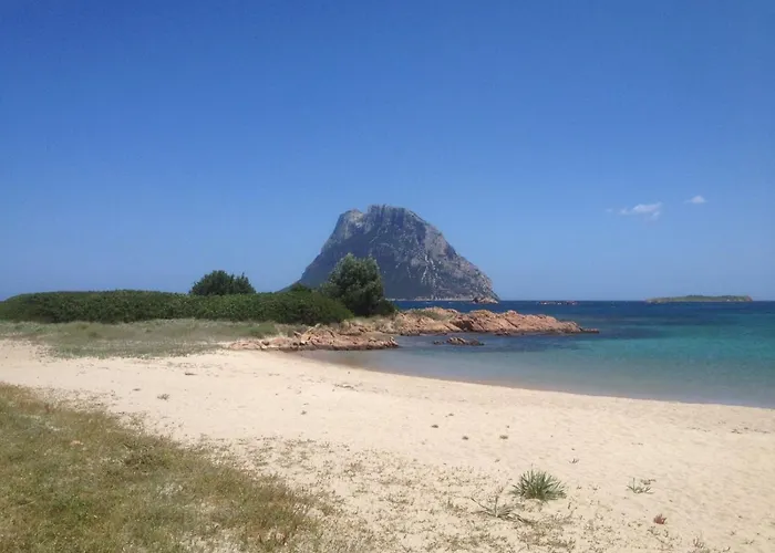 公寓 Residenza Gli Asparagi