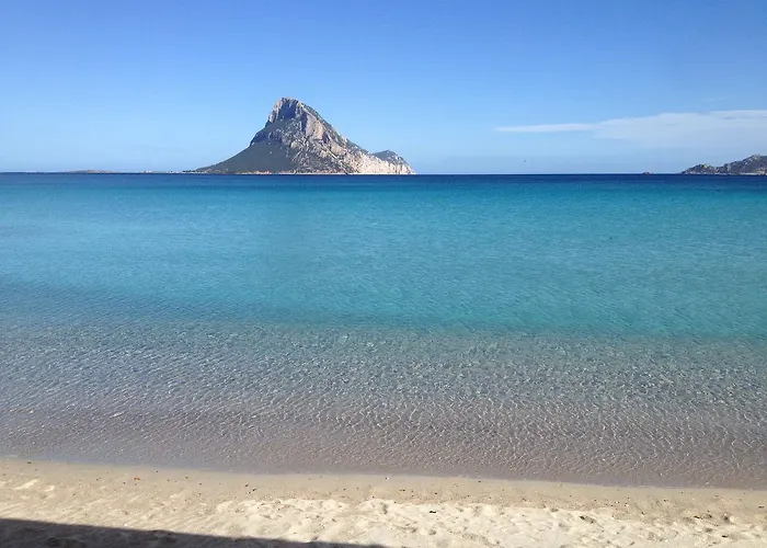 Residenza Gli Asparagi 公寓 *